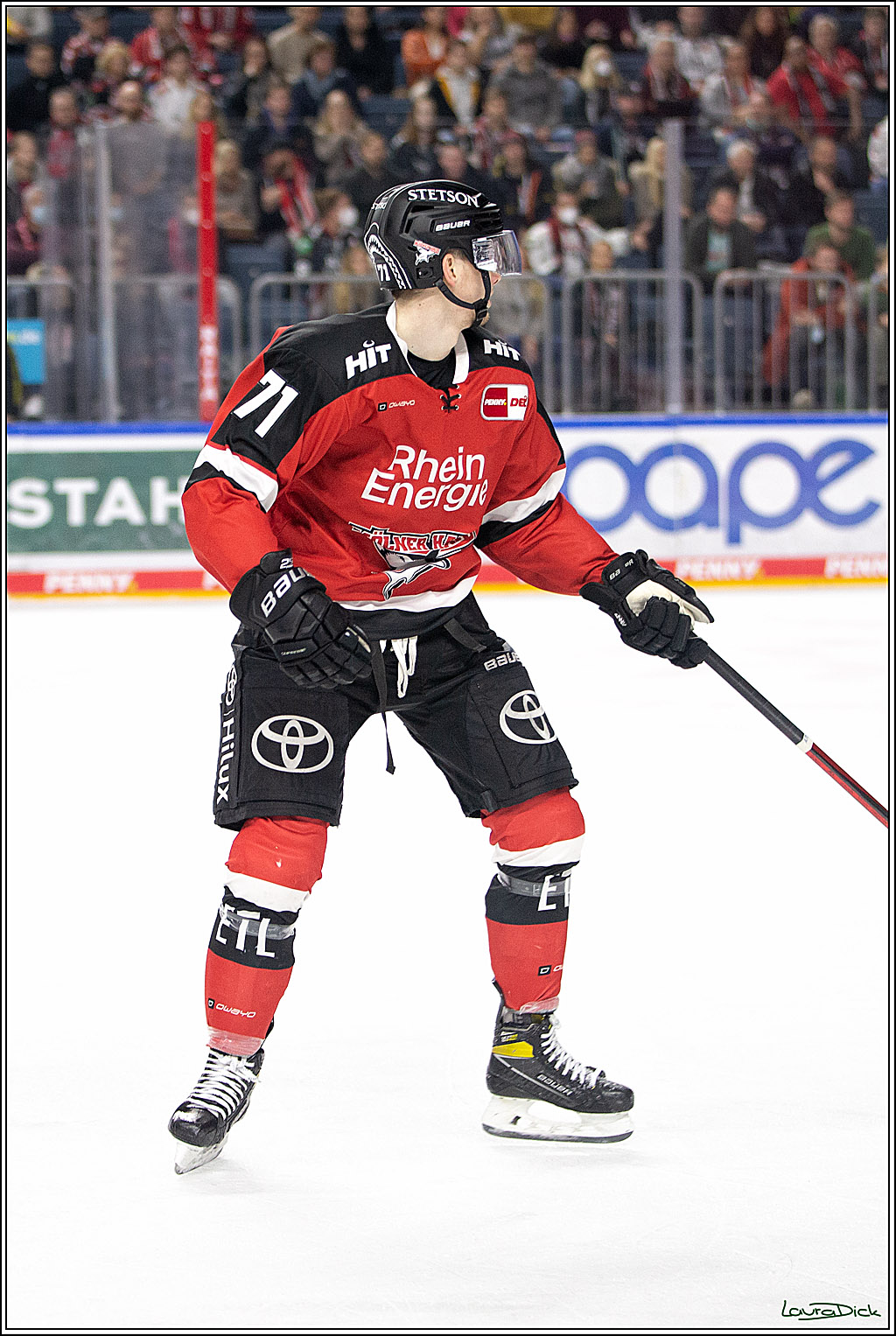 PENNY DEL; Koelner Haie- Bietigheim Steelers; Koeln, 19.11.2021